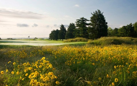 seaview golf course with a field of flowers in the background of the course