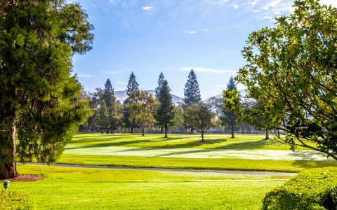 Beautiful landscape photo of Silverado golf grounds