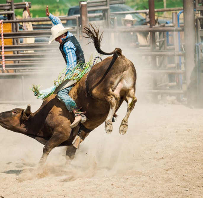 man in a bull during a rodeo