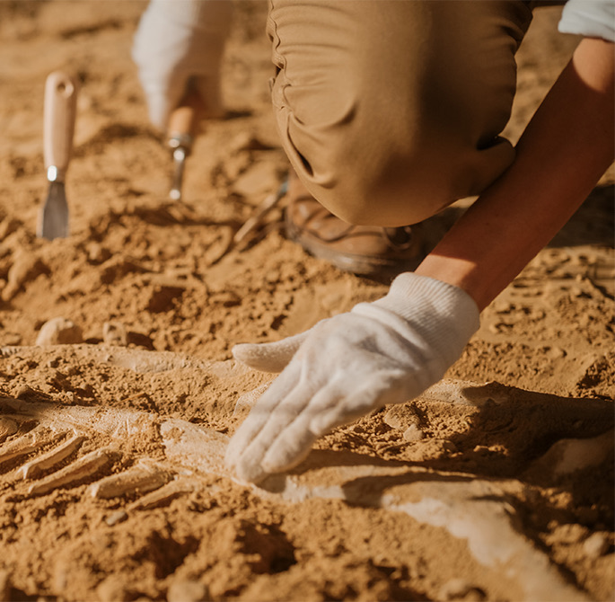 person digging bones in a sand field