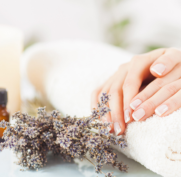 hands of woman with manicure and lavender leaves