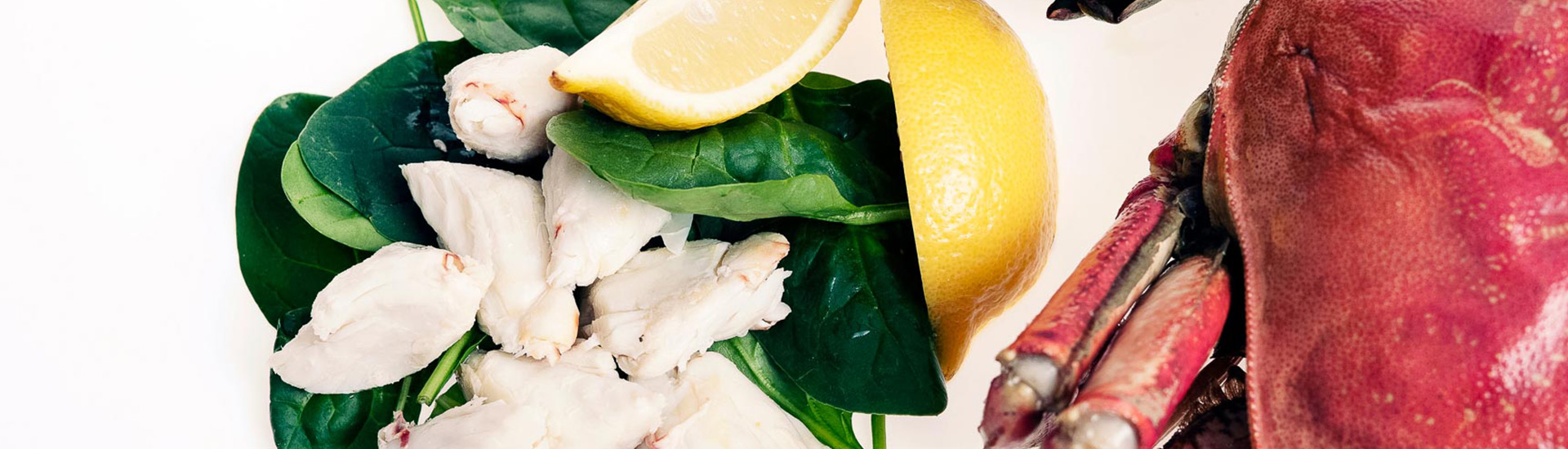 white chicken on a bed of greens, a lemon slice, and close up of a crab