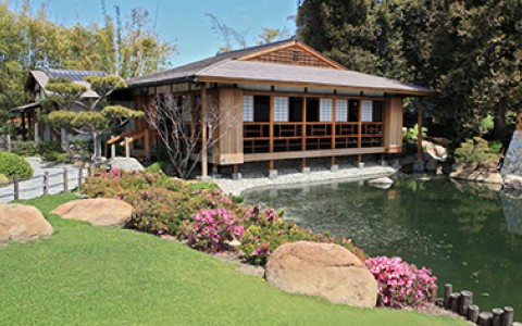 Japanese Garden pagoda and koy pond