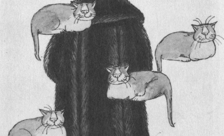 edward gorey illustration of man in a fur coat surrounded by floating cats