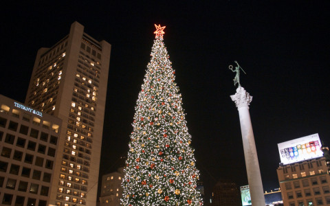 Union Square Christmas Tree Lit up next to buildings