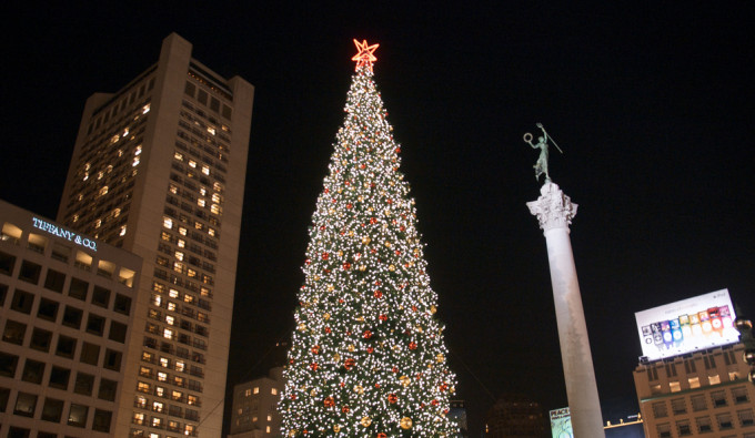 Union Square Christmas Tree Lit up next to buildings