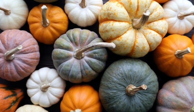 colorful pumpkins