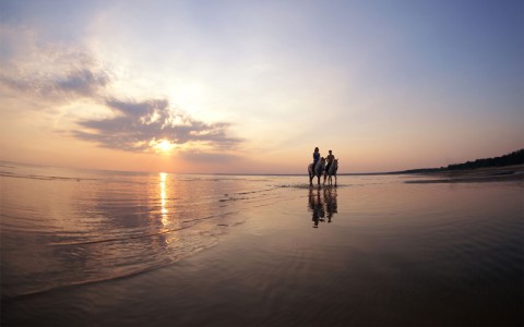 horse back riding on a beach will the sun sets