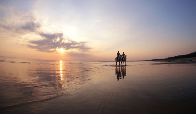 horse back riding on a beach will the sun sets