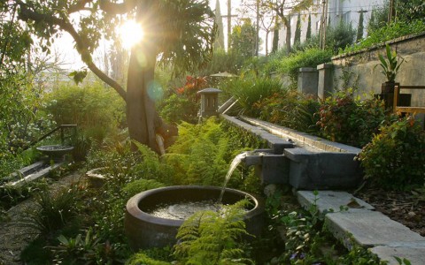 garden with a small fountain and a tree