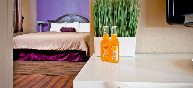 AluraInn Rooms KingKitchenDrink