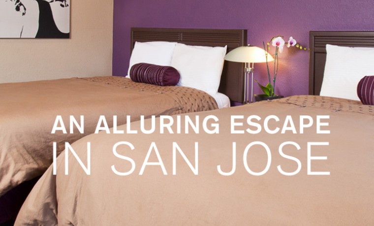Alura Inn | Official Hotel Website