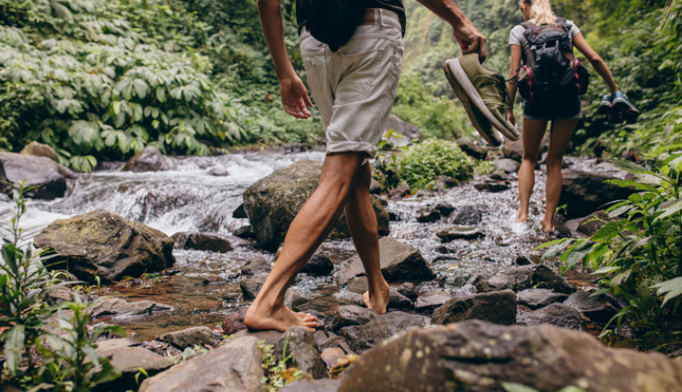 rainforest hike
