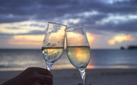 sea sunset beach cheers
