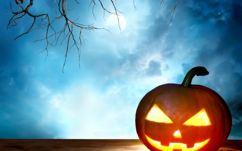 shutterstock_212887906-561685ac166d6.jpg