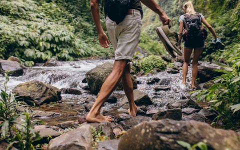 rainforest hike