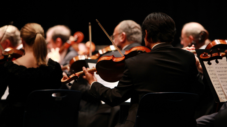 Rear view of orchestra violin section