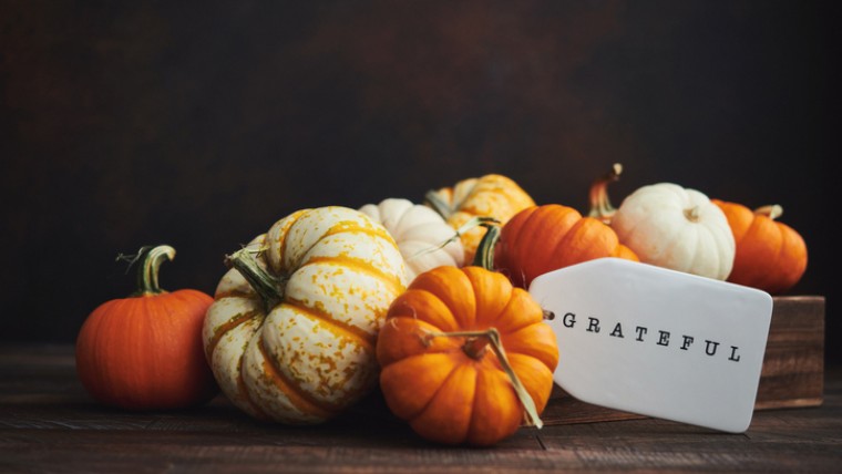 thanksgiving pumpkins