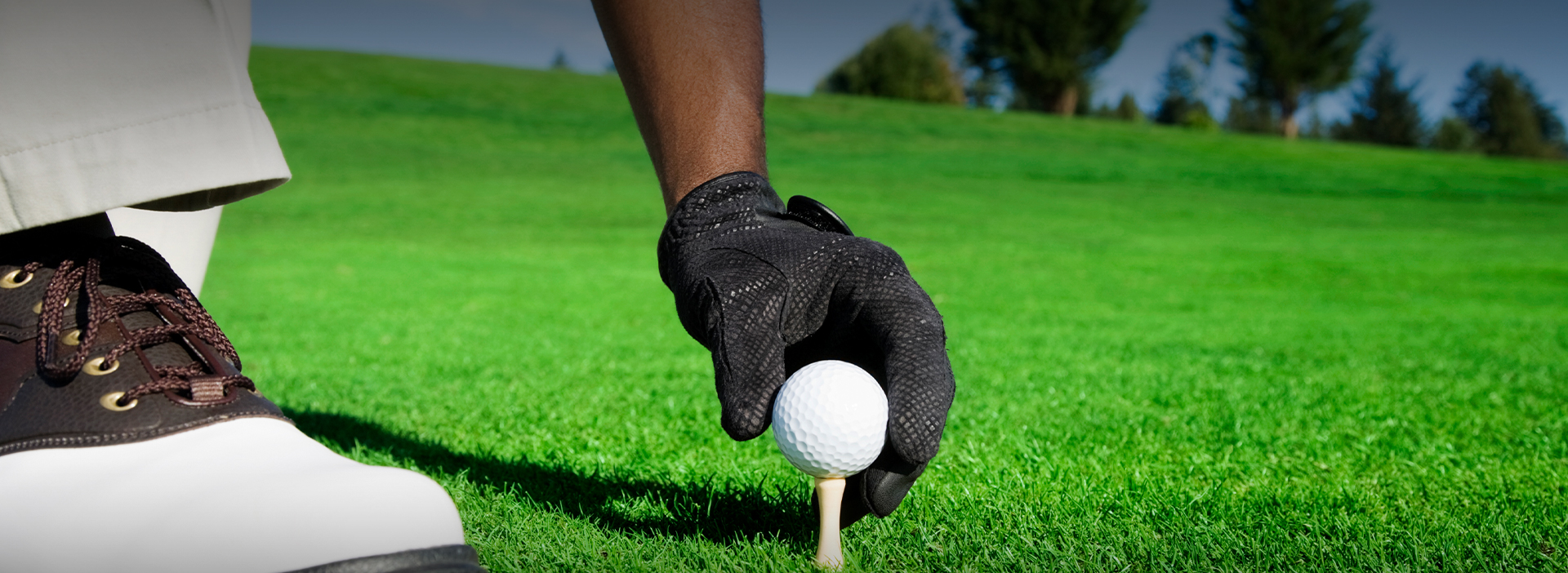 The hand of a person putting a golf ball on a tee