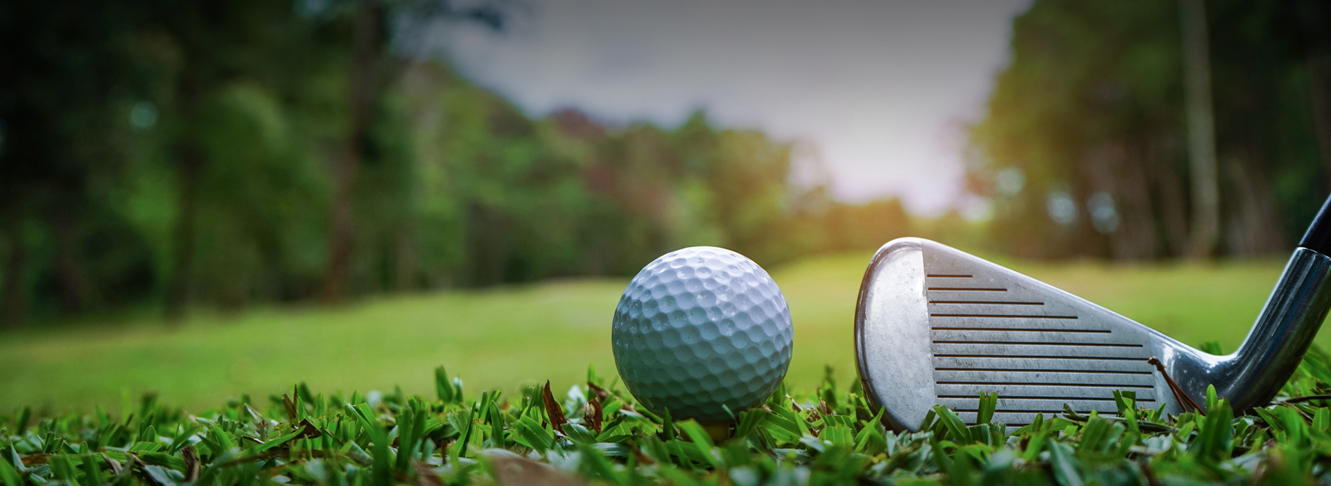 Closeup of a golf ball and a stick