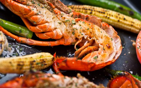 close up of grilled seafood