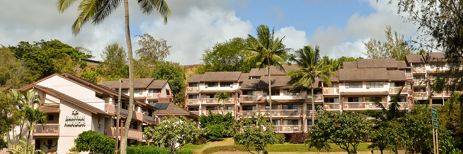 Banyan Harbor owner information header