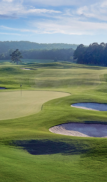 Georgia Golf Courses Fazio Golf Course Barnsley Resort