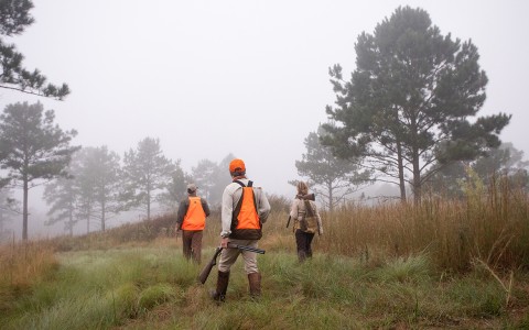 three people walking through a field wearing orange vests