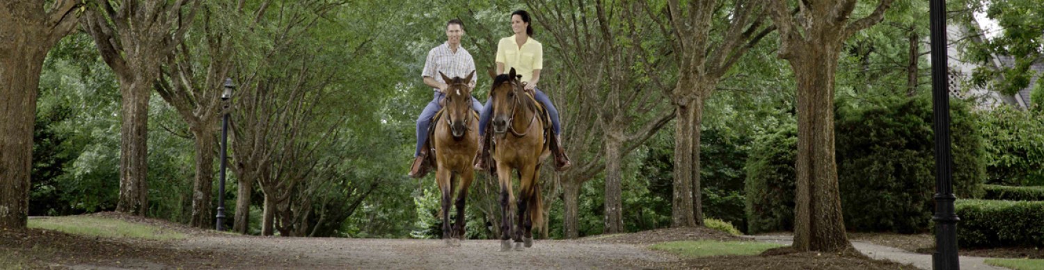 Couple riding horses