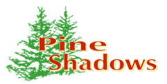 pine shadows