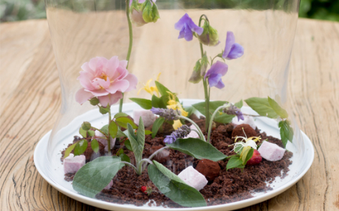 White plate with glass dome cover over dirt & flowers event