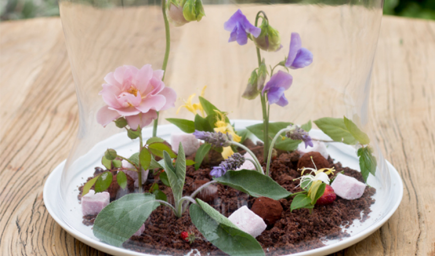 White plate with glass dome cover over dirt & flowers