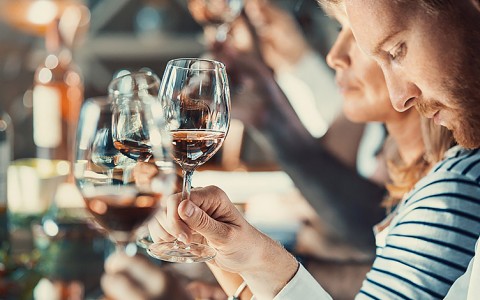 A man and a woman holding up glasses of wine for a toast