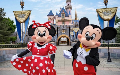 mickey and mini mouse in front of the castle 