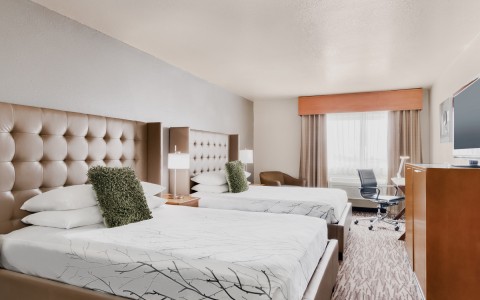 double queen beds in hotel room