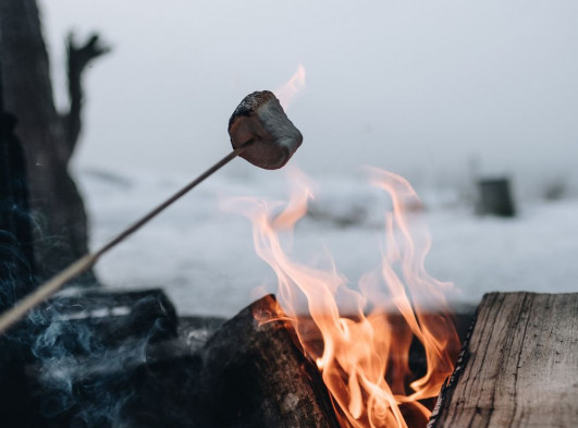 Toasting Marshmallows over an Outdoor Fire