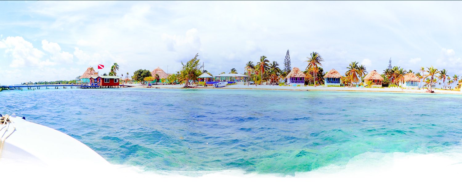 a view of blackbird caye resort in the distance seen from a boat