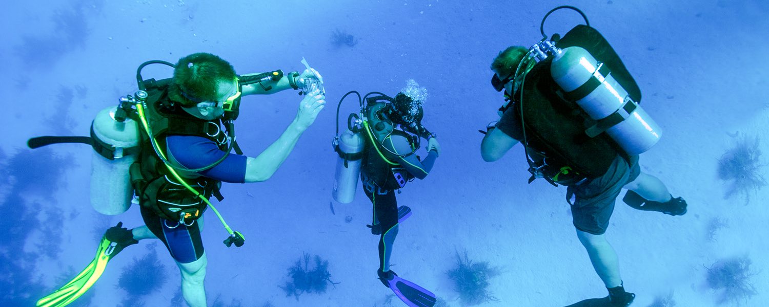 scuba diver taking an underwater photo of two other scuba divers