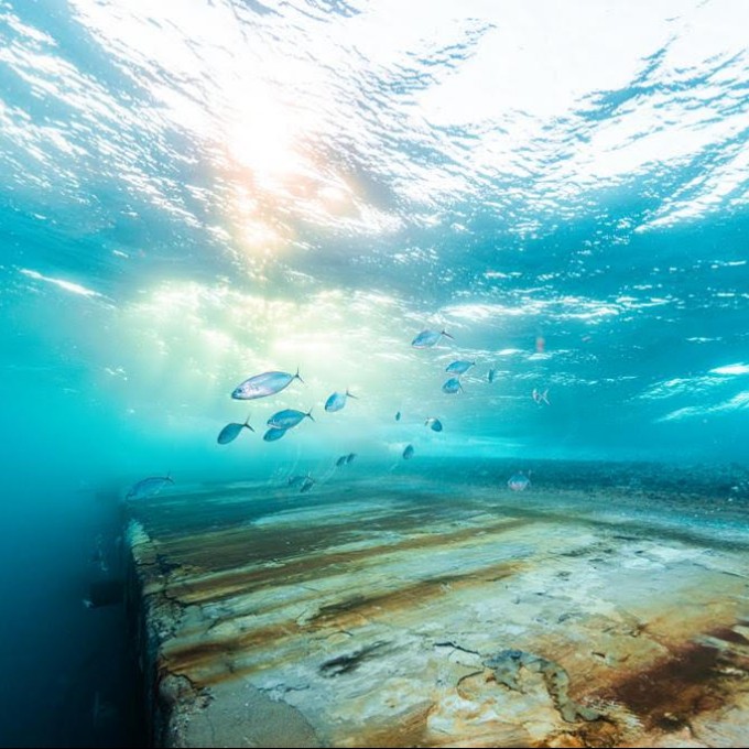 life to see fishes swimming