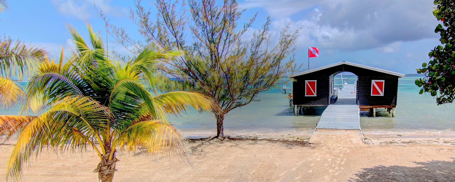 scuba diving page header 1