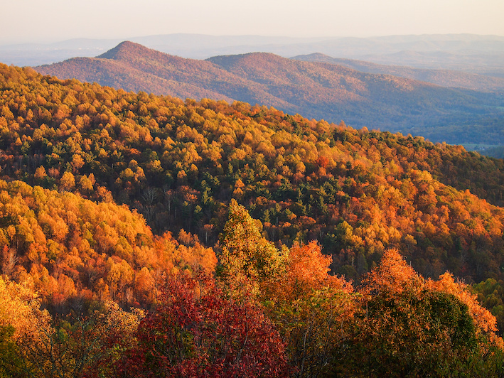 mountain view of the fall foliage