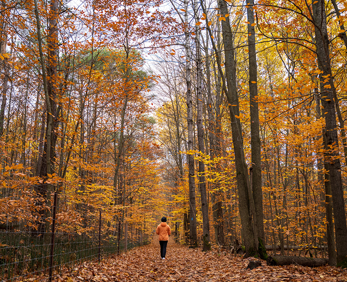 A person in the middle of woods in fall season
