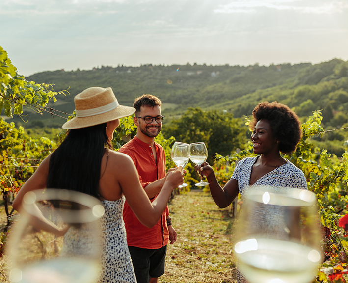 View of a group of people enjoying a glass of wine at a vineyard on summer