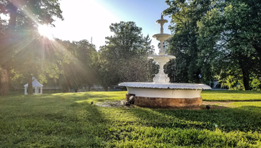 View of a fountain in the middle of nature