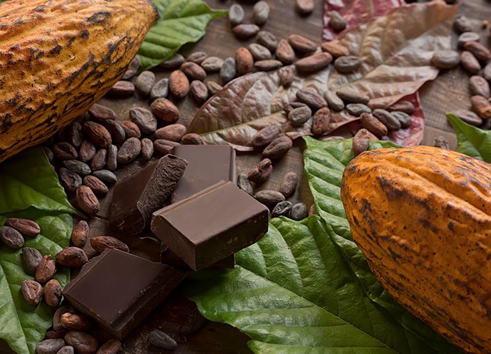 pieces of chocolate on top of green leaves with cocoa beans scattered on the table