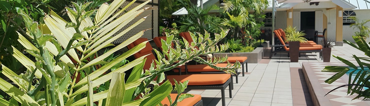 lounge chairs with orange cushions near the pool tucked away by palm leaves