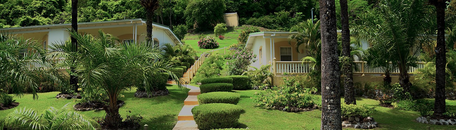walkway leading to a guest house surrounded by plants and bushes