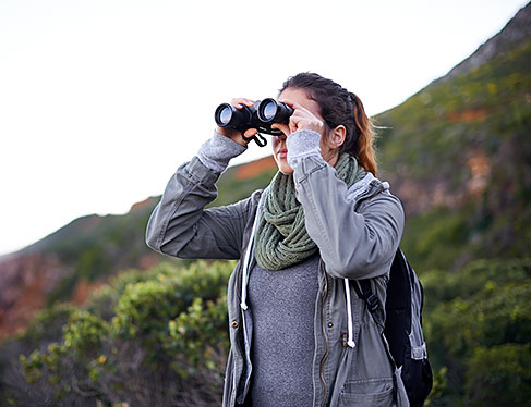 The Birds of Bodega Bay