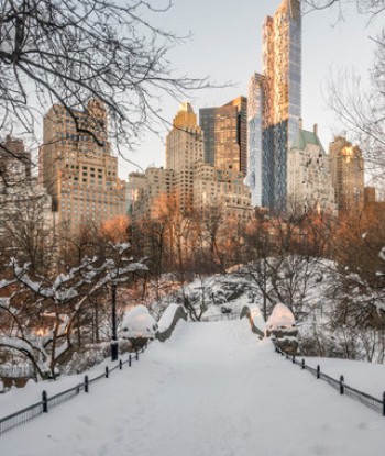 new york city from central park in winter