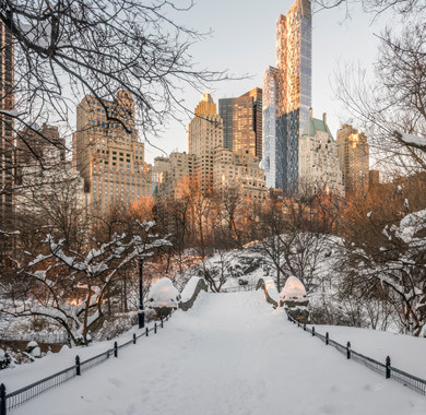 new york city from central park in winter